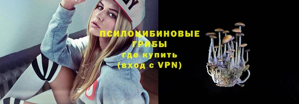 Альфа ПВП Алексин