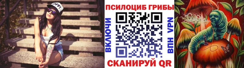 как найти закладки Борисоглебск Галлюциногенные грибы прущие грибы